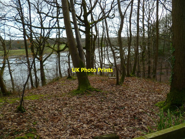 Photo 6"x4" View down the River Hamble from Dock Copse Burridge\/SU5110 c2013