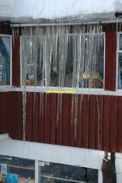 Photo 6"x4" Icicles ! Reindeer Ho c2010