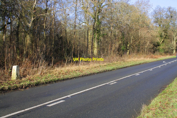 Photo 6"x4" Oxford Road through Bagley Wood Bayworth c2013
