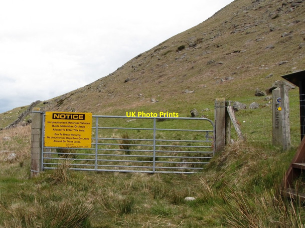 Photo 6"x4" Gate leading from the B27 on to the Spelga Mountain Kilcoo c2012