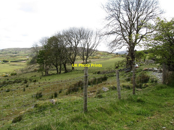 Photo 6"x4" Shelter belt east of Fofanny Road Kilcoo c2012