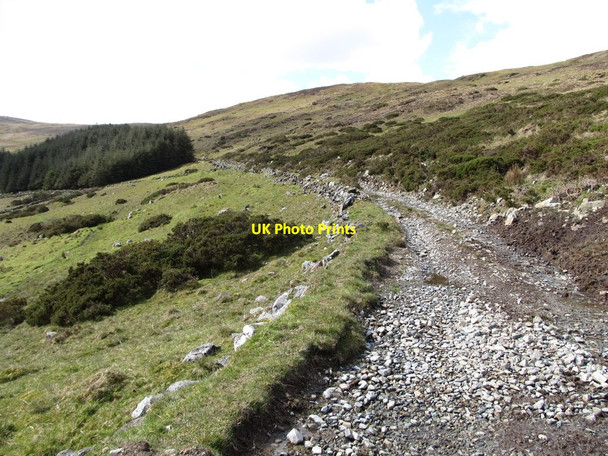 Photo 6"x4" Mountain track approaching Ardglash Forest Kilcoo c2012