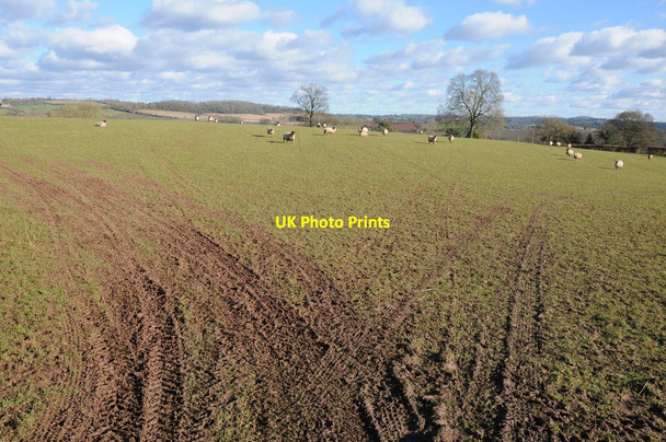 Photo 6"x4" Farmland at Much Cowarne Panks Bridge c2013