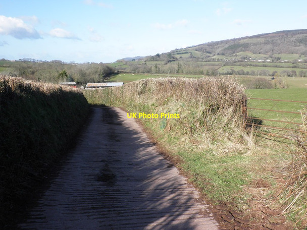 Photo 6"x4" Road to Well Farm Cowbridge\/SS9542 c2013