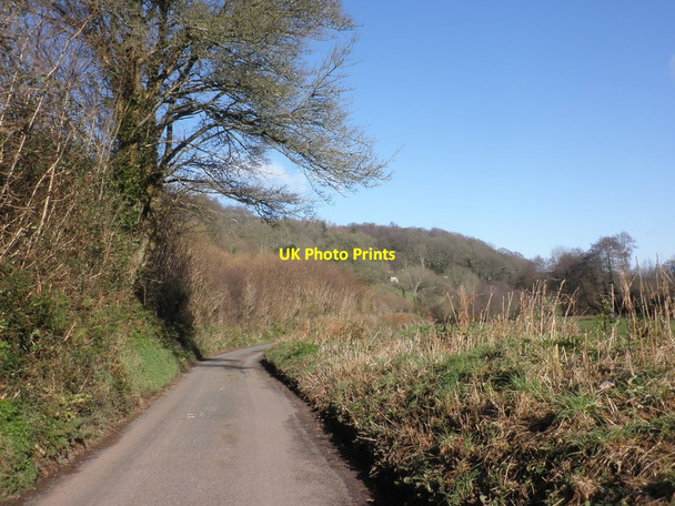 Photo 6"x4" Steart Lane (2) Cowbridge\/SS9542 c2013