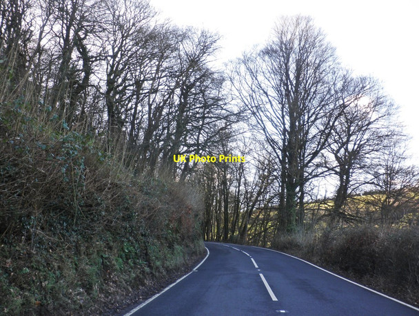 Photo 6"x4" A396, near Oaktrow Wood Cowbridge\/SS9542 c2013