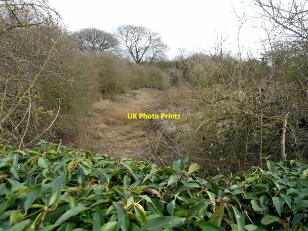 Photo 6"x4" Newbold On Avon-Oxford Canal (old arm) Rugby c2013