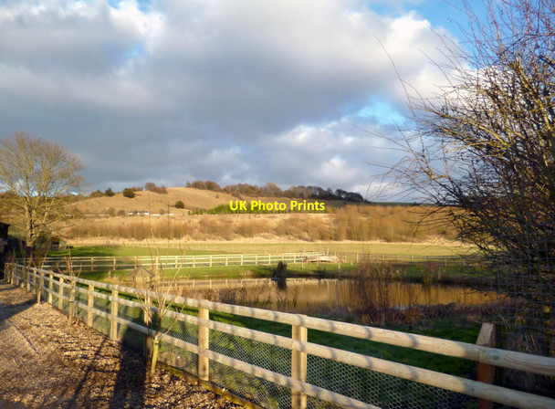 Photo 6"x4" Small Pond at Hill Farm Lewknor c2013