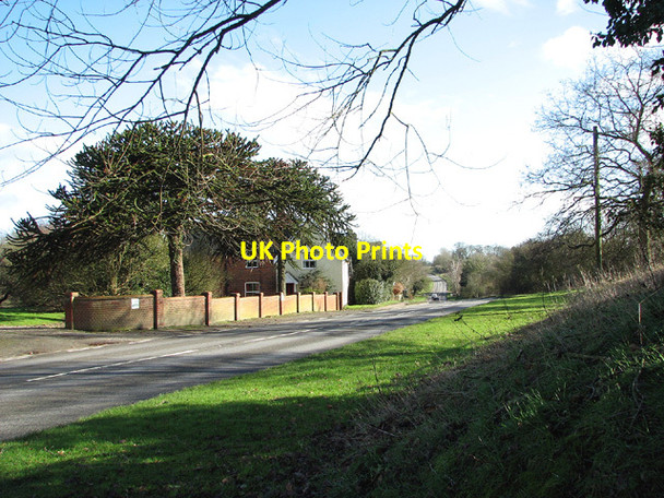 Photo 6"x4" View down The Hill (B1062 road), Shipmeadow Shipmeadow c2013