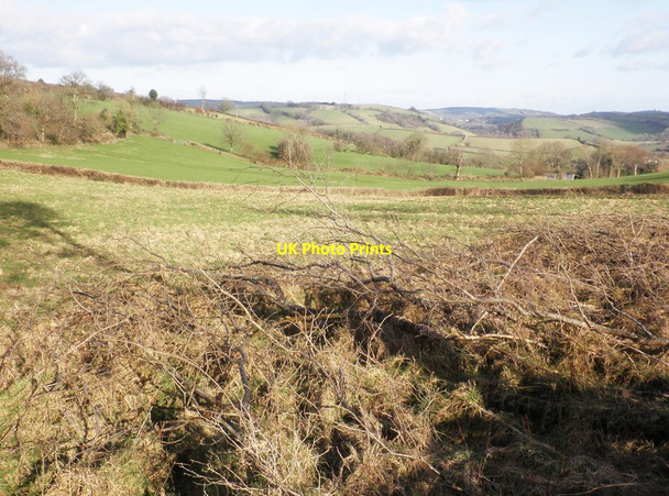 Photo 6"x4" Grazing land at Rows Farm Bampton\/SS9522 c2013