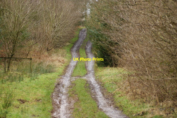Photo 6"x4" Muddy Track Prior Rigg\/NY4668 c2012