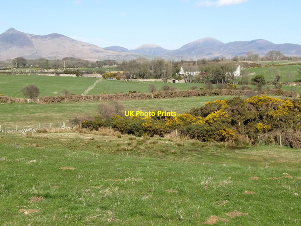 Photo 6"x4" View north-eastwards across the entrenched lower reaches of the Mullagh River  Ballymartin c2011