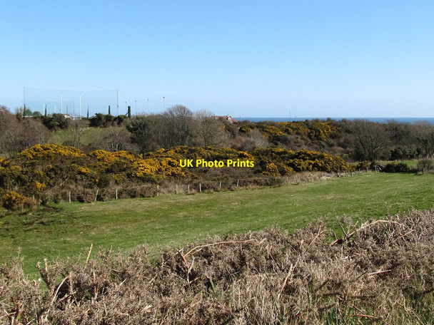 Photo 6"x4" View east from Wrack Road across the Mullagh valley Ballymartin c2011