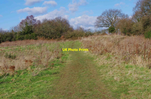 Photo 6"x4" Path in field near Stourport-on-Severn Stourport-on-Severn c2013