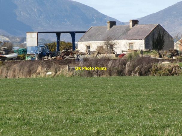 Photo 6"x4" Derelict cottage off Moor Road Kilkeel c2011