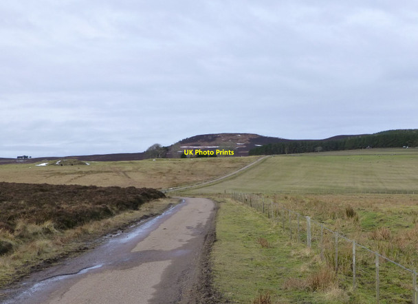 Photo 6"x4" On Hepburn Moor  Hepburn c2013