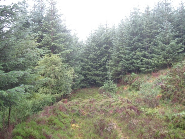 Photo 6"x4" Dead end of forestry track above Stronenaba Stronaba c2008