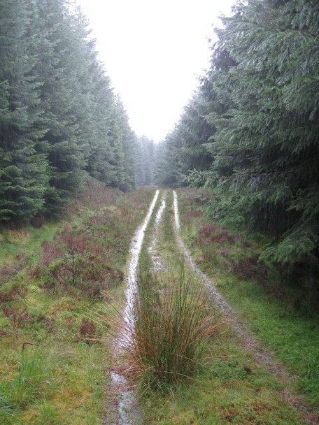 Photo 6"x4" Misty, soaked track in hardly-frequented forestry above Stronenaba Stronaba c2008