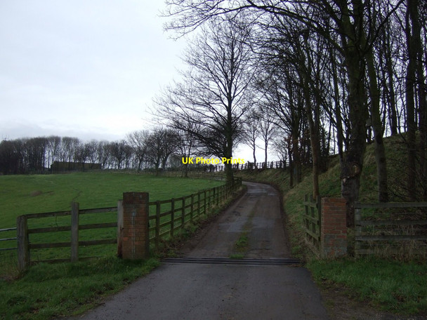 Photo 6"x4" Track to Grange Farm Mexborough c2013