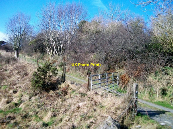 Photo 6"x4" Farm track off the Hilltown Road Mayobridge c2011