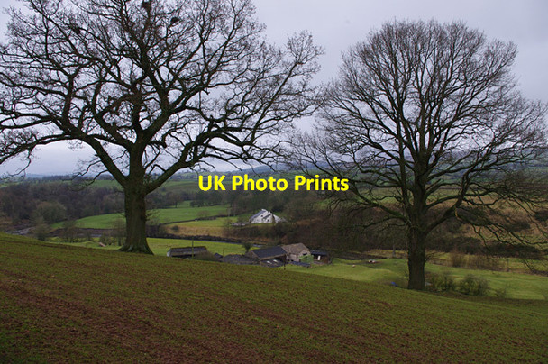 Photo 6"x4" Greta valley above Burton in Lonsdale Barnoldswick\/SD6671 c2013