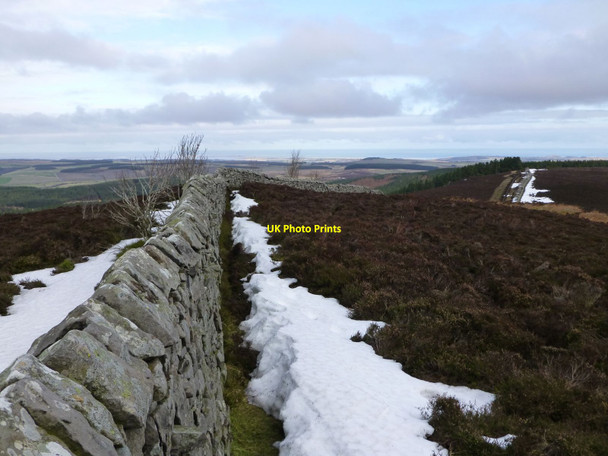Photo 6"x4" Wall on Ros Castle Chillingham c2013