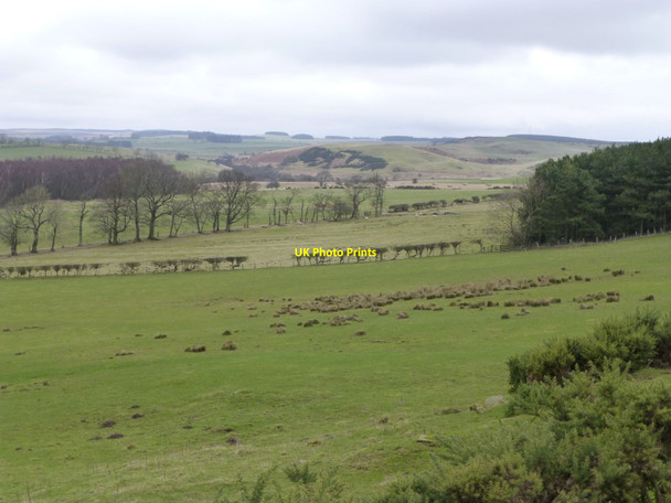 Photo 6"x4" Pasture below White House Folly South Charlton c2013