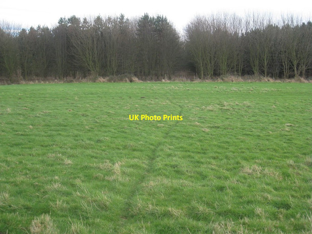 Photo 6"x4" Animal track to the woods Aylesby c2013