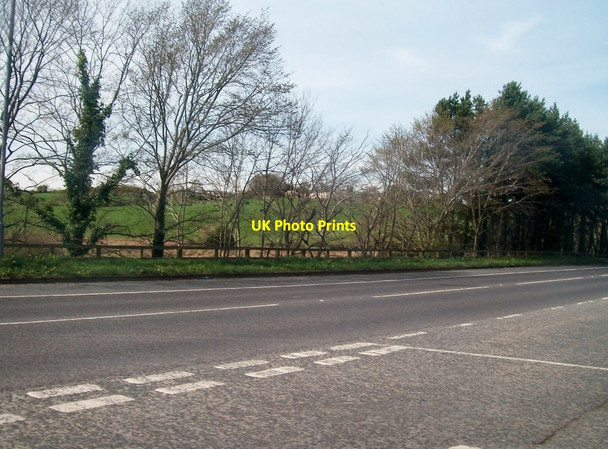 Photo 6"x4" Entering the A24 (Newcastle) Road from the direction of Loughinisland Loughinisland c2011