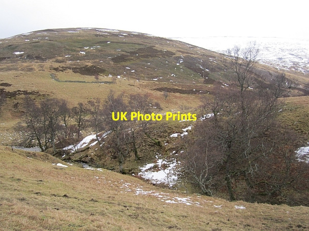 Photo 6"x4" Burn of Corrie Mill Burn\/NO4773 c2013