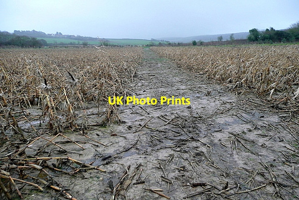 Photo 6"x4" Path at East Afton Farm Afton\/SZ3486 c2012