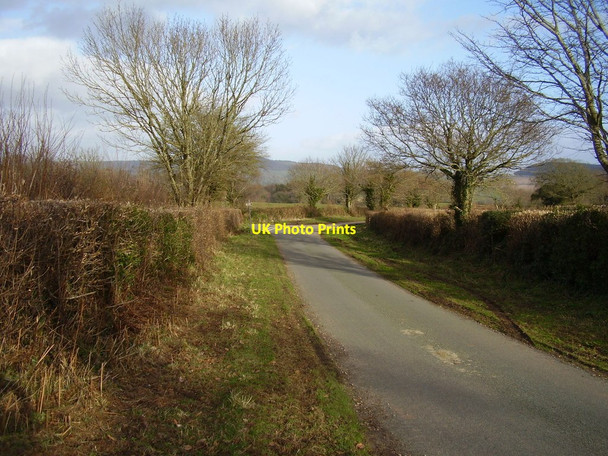 Photo 6"x4" A quiet East Devon junction Burrow\/SY0789 c2013