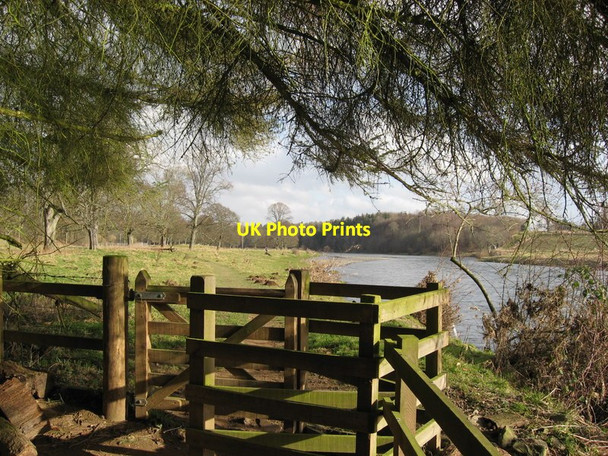 Photo 6"x4" Gateway to the Tweed Dryburgh\/NT5931 c2013