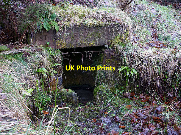 Photo 6"x4" St Cuthbert's Well, Colton Colton\/SD3186 c2013