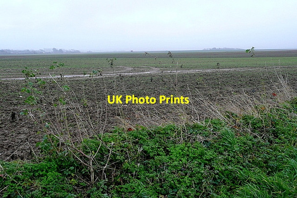 Photo 6"x4" Farmland near Tapnell Farm Thorley\/SZ3788 c2012