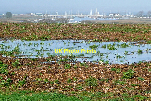 Photo 6"x4" Above the River Yar Norton Green\/SZ3488 c2012