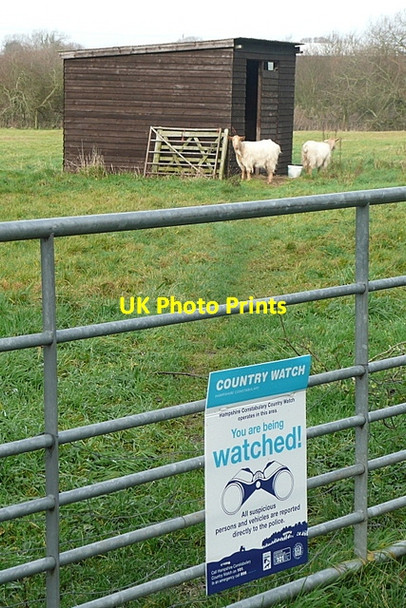 Photo 6"x4" You are being watched! Afton\/SZ3486 c2012