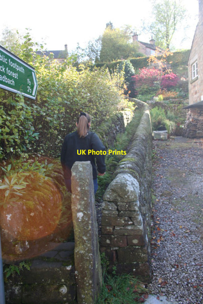 Photo 6"x4" Footpath to Back Forest Danebridge c2012