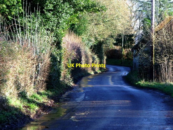 Photo 6"x4" Coltstaple Lane near Horsham Southwater Street c2013