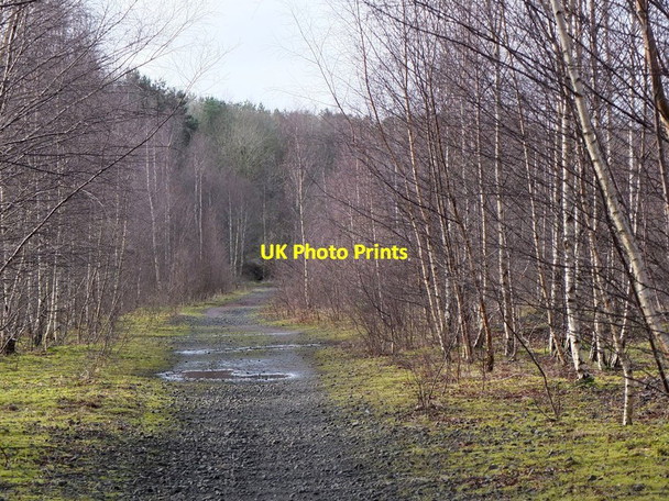 Photo 6"x4" Former railway into Bilston Glen Colliery Loanhead\/NT2765 c2013
