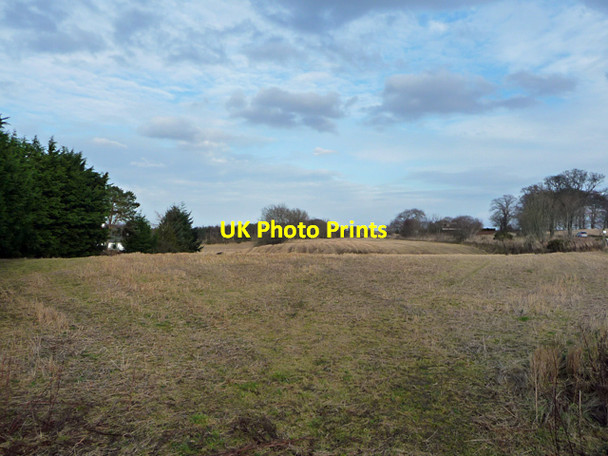 Photo 6"x4" Field north of Milton of Culloden Culloden c2013