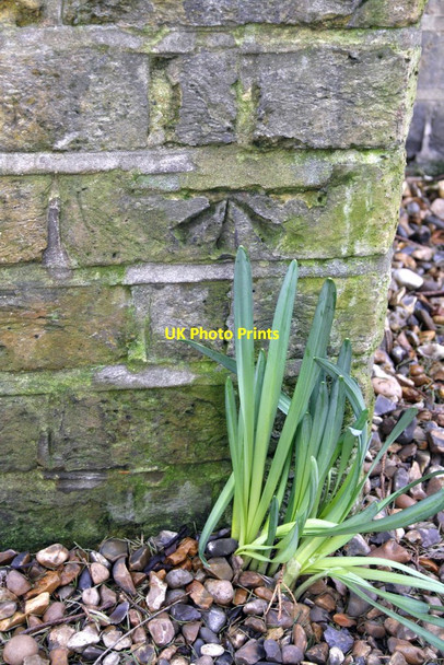 Photo 6"x4" Benchmark on buttress of St Philip's Church Kensington\/TQ2579 c2013