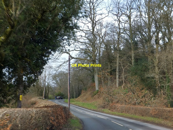 Photo 6"x4" In Bury Wood Brushford\/SS9225 c2013