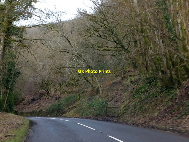 Photo 6"x4" Old track into Barlynch Wood Bury\/SS9427 c2013