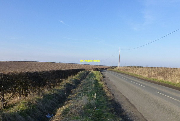 Photo 6"x4" The road from Stamford to Embleton Rennington c2013