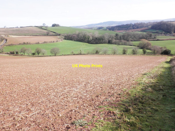 Photo 6"x4" Muddy field, near Huish Barton Beggearn Huish c2013