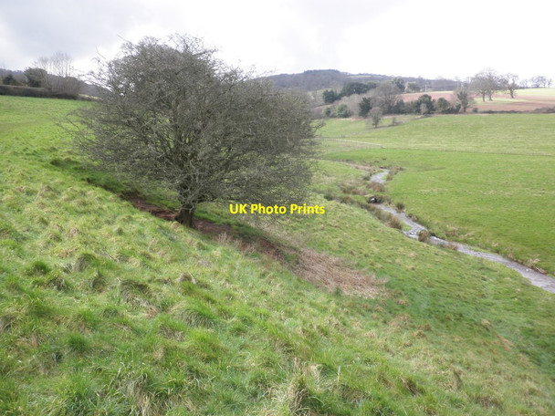Photo 6"x4" Meandering stream, Nettlecombe Park Woodford\/ST0638 c2013