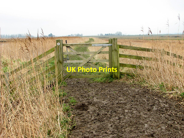 Photo 6"x4" Gate on muddy footpath, Hardley Staithe Hardley Street c2013