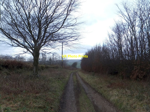 Photo 6"x4" Hare Path, a bridleway near Wheddon Cross Wheddon Cross c2013