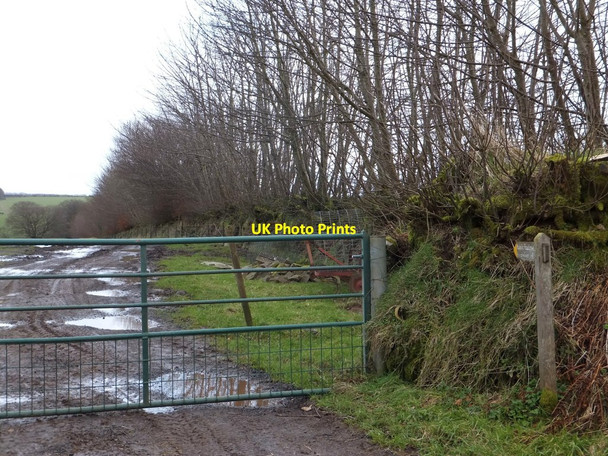Photo 6"x4" Footpath east of Stone Lane Head Coppleham c2013